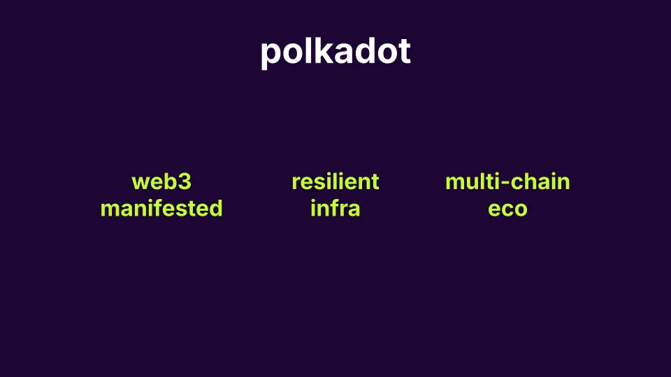 What is Polkadot